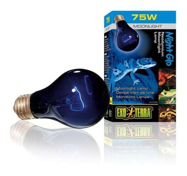 Picture of Exo Terra Gece Lambası Ayışığı 75 W